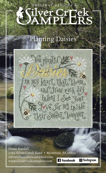 planting daisies