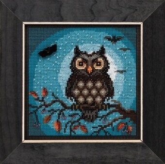 Midnight owl